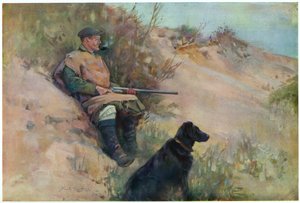 飞行射击游戏，来自&39;Wildfowl and Waders&39;的插图